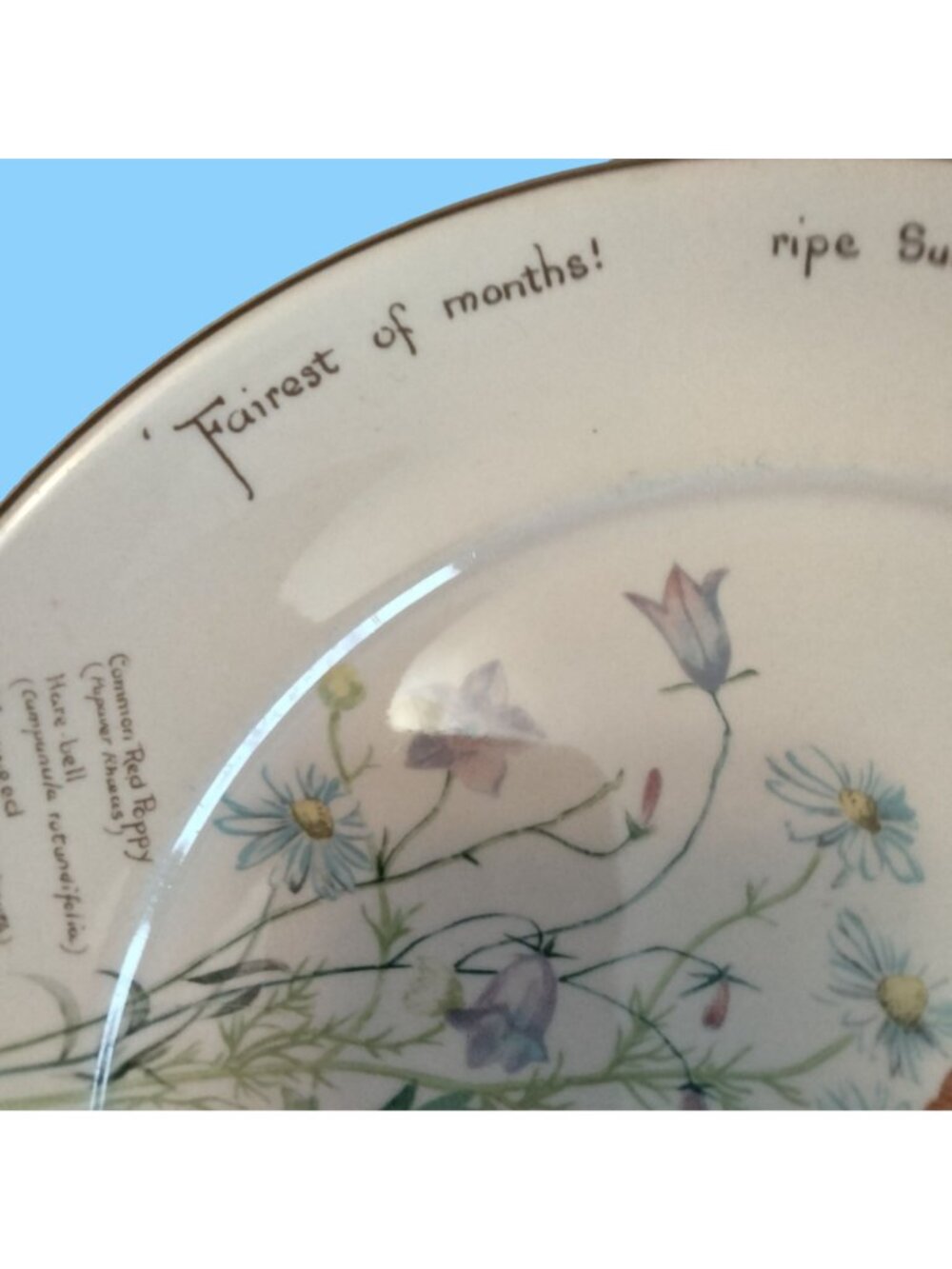 Noritake of Ireland Country Diary of An Edwardian - Picture 5 of 14